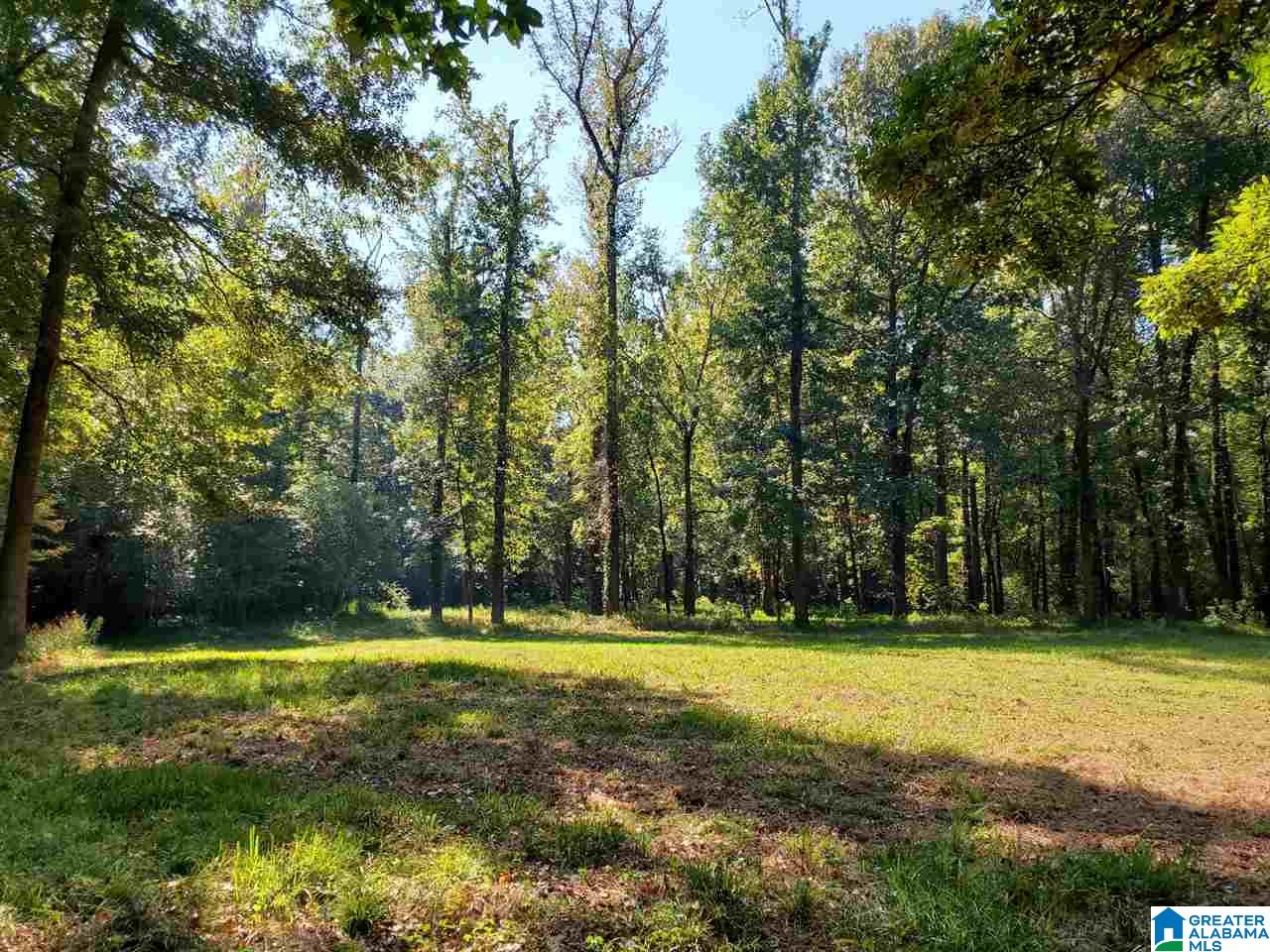 Flag Road, Unit KNOXVILLE Knoxville, AL 35469 - Photo 2 of 9