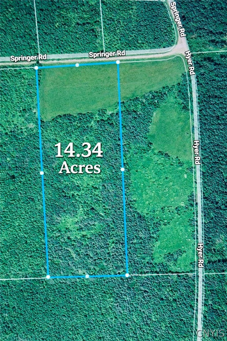 Springer Road DeRuyter, NY 13052 - Photo 7 of 13 Gallery Image 7