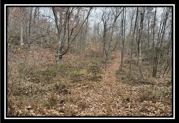 35887 Buck Run Road, Unit TRACT 7 Langsville, OH 45741 - Photo 28 of 37 image028