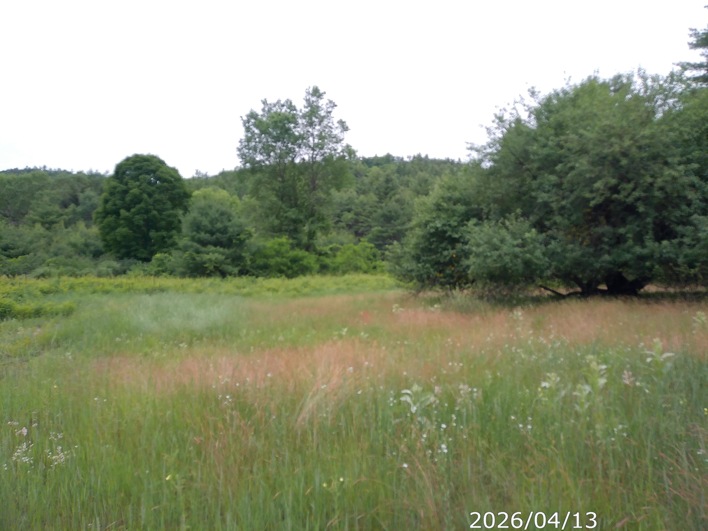 122 Fox Run Road Elizabethtown, NY 12932 - Photo 2 of 9
