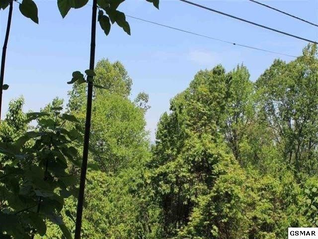 3 Stans Road Gatlinburg, TN 37738 - Photo 1 of 5 Gallery Image 1