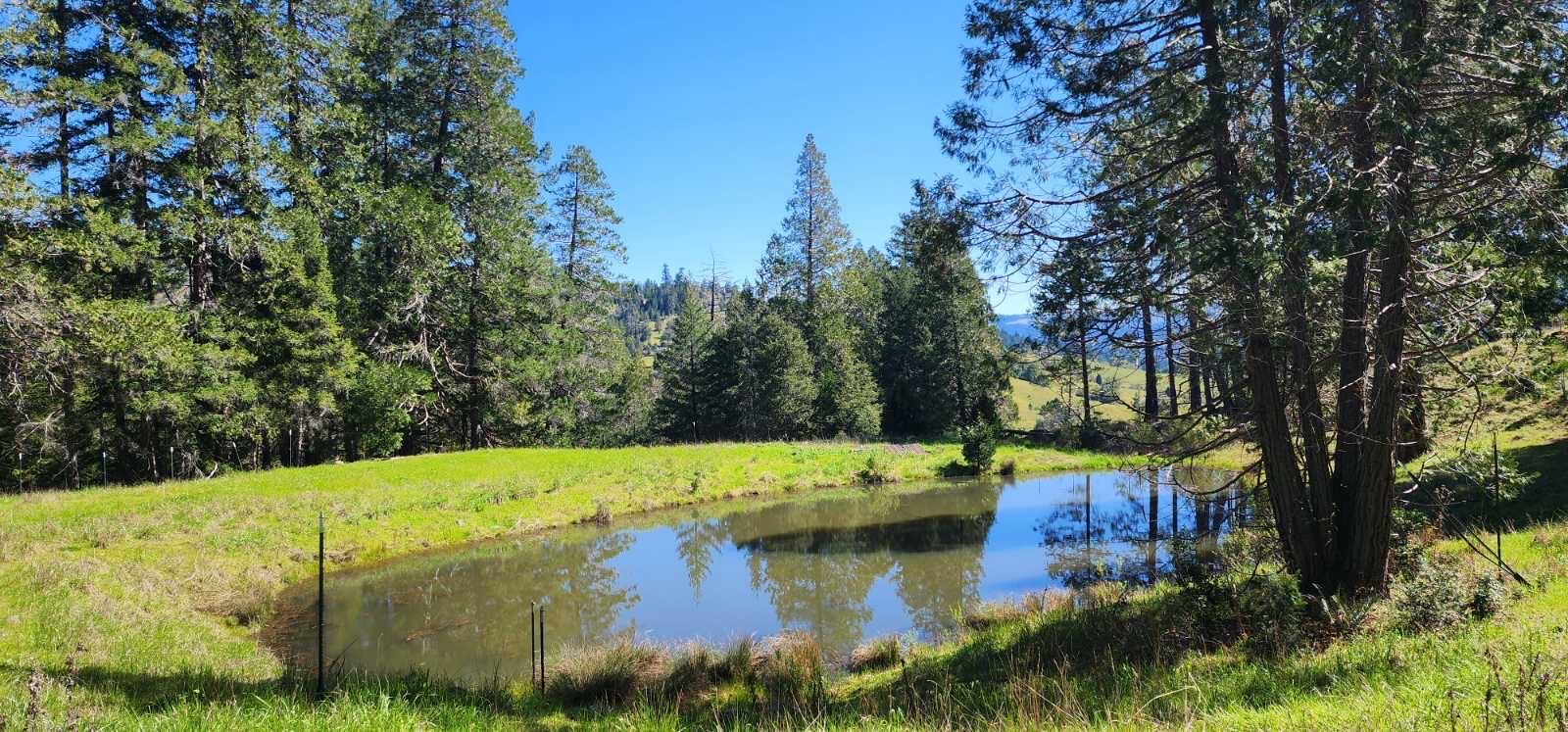 0 Salmon Creek Road Miranda, CA 95553 - Photo 9 of 19