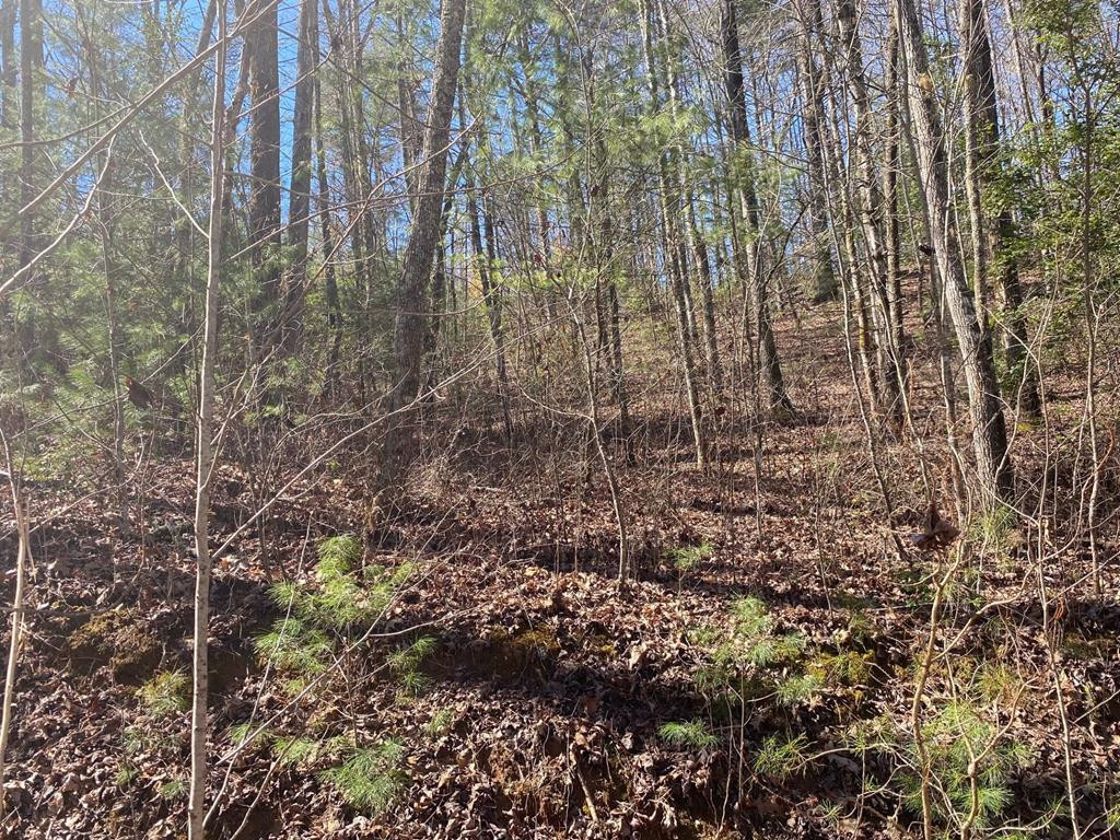 Lot 17 Appalachian Estates Road Murphy, NC 28906 - Photo 17 of 17