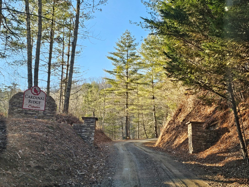 16 Merlin Trail Murphy, NC 28906 - Photo 3 of 10