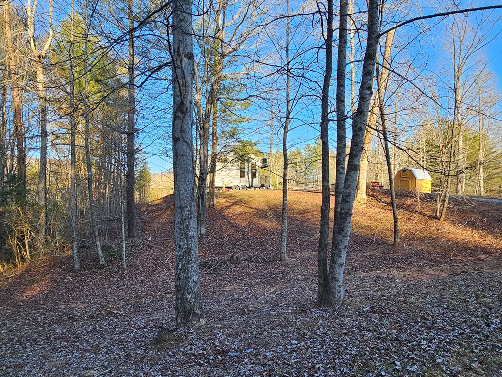 16 Merlin Trail Murphy, NC 28906 - Photo 6 of 10