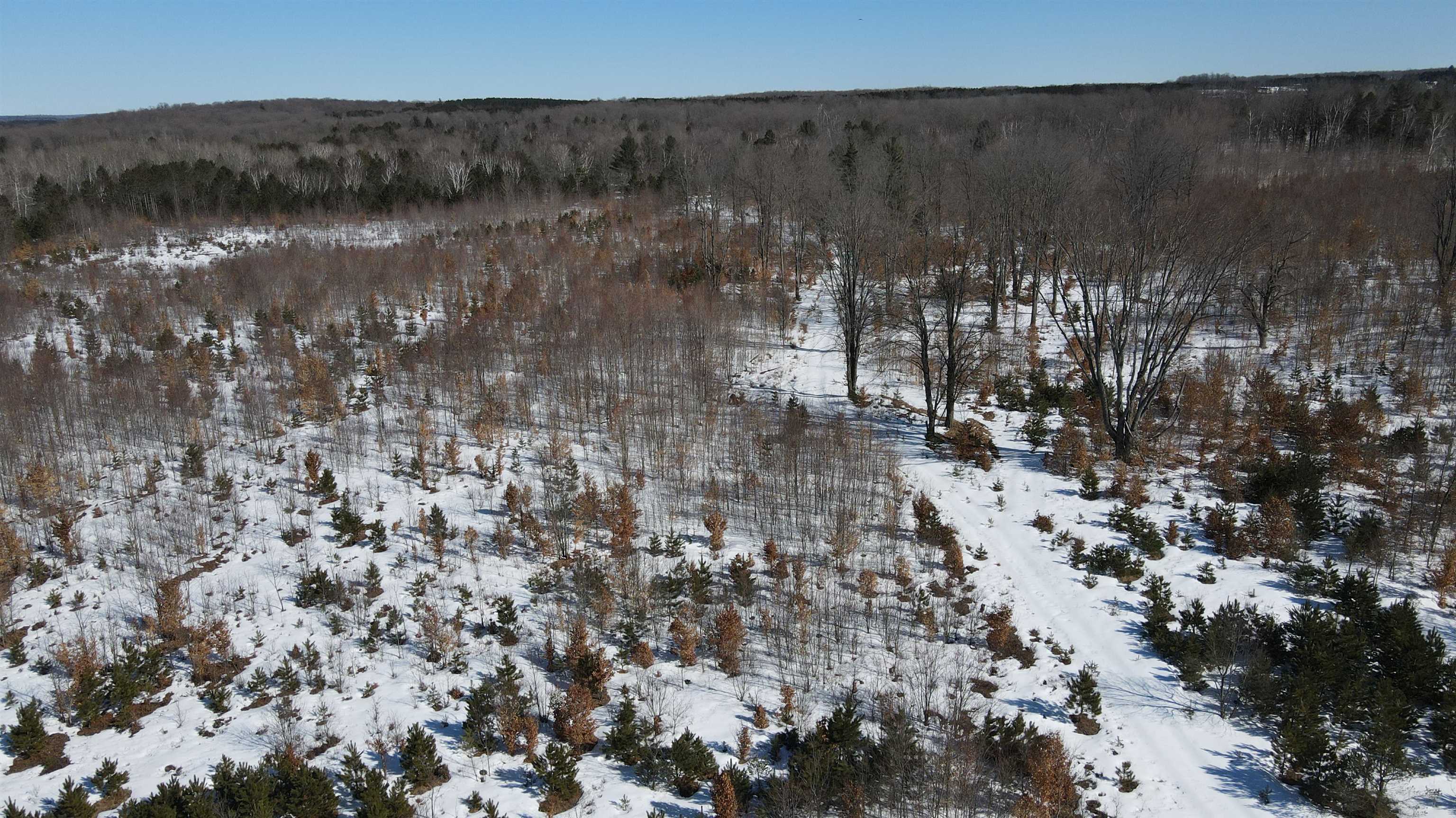 Southeast Campbell Road Southeast Kalkaska, MI 49646 - Photo 20 of 23