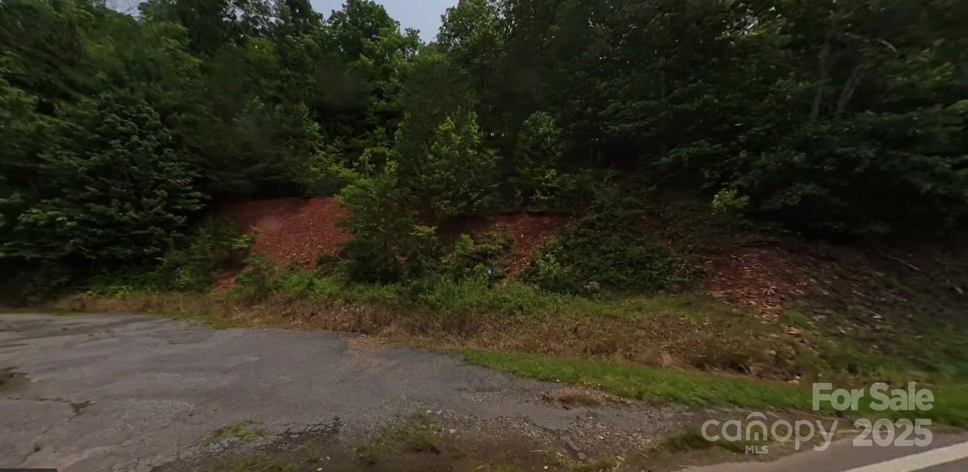 2545 Martins Creek Road Murphy, NC 28906 - Photo 2 of 5 a view of a yard with plants and a bench