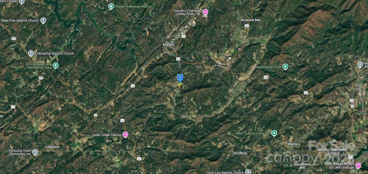 2545 Martins Creek Road Murphy, NC 28906 - Photo 4 of 5 a view of a tree in a garden