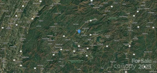 a view of a lush green forest with a skyline