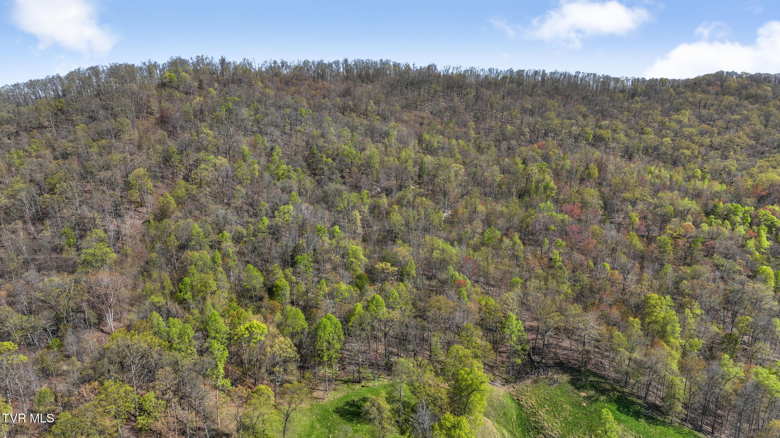 Tba Black Locust Road Jonesville, VA 24263 - Photo 11 of 16 10_dji_0102