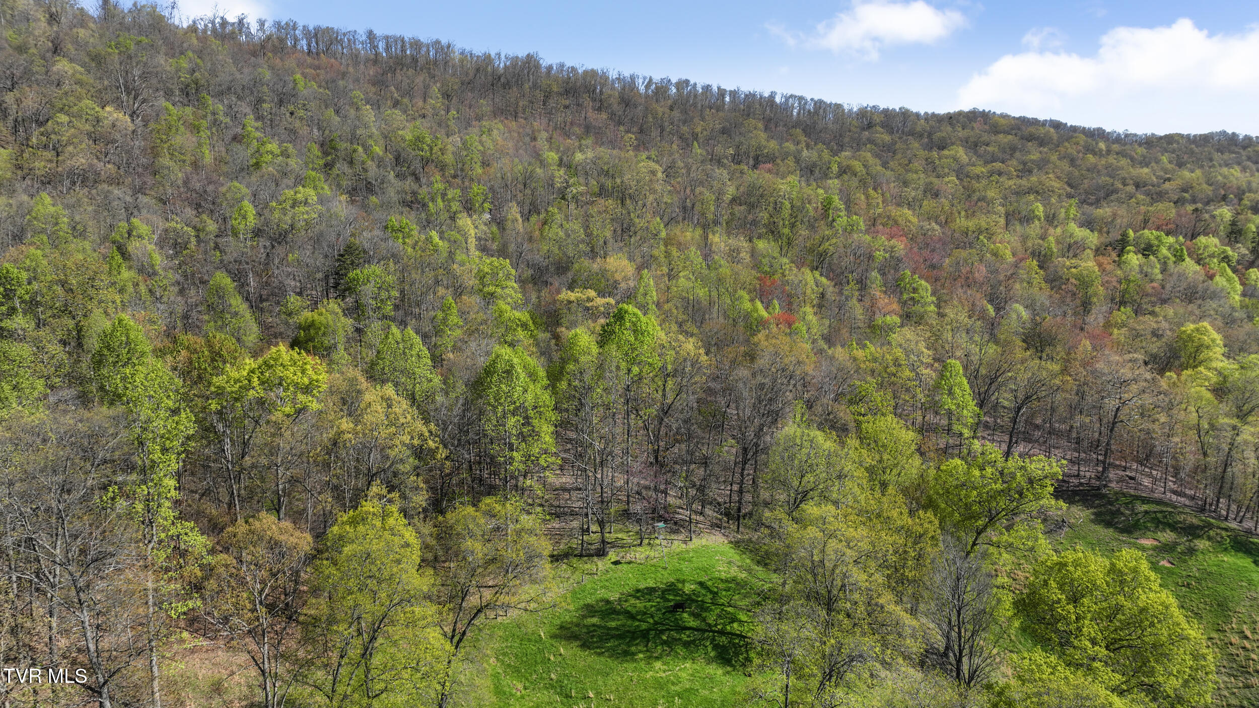 Tba Black Locust Road Jonesville, VA 24263 - Photo 12 of 16 11_dji_0103