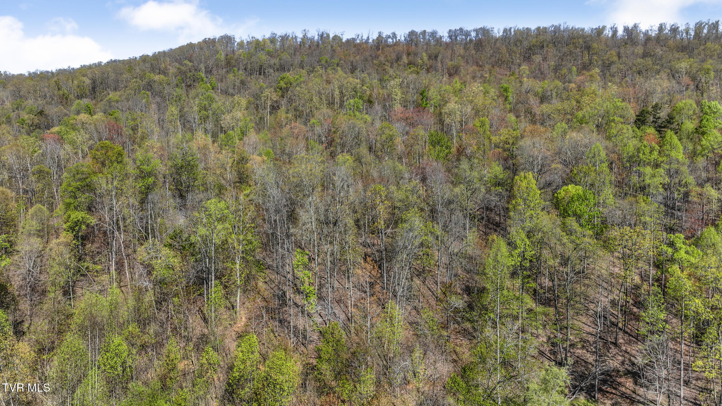 Tba Black Locust Road Jonesville, VA 24263 - Photo 14 of 16 7_dji_0099