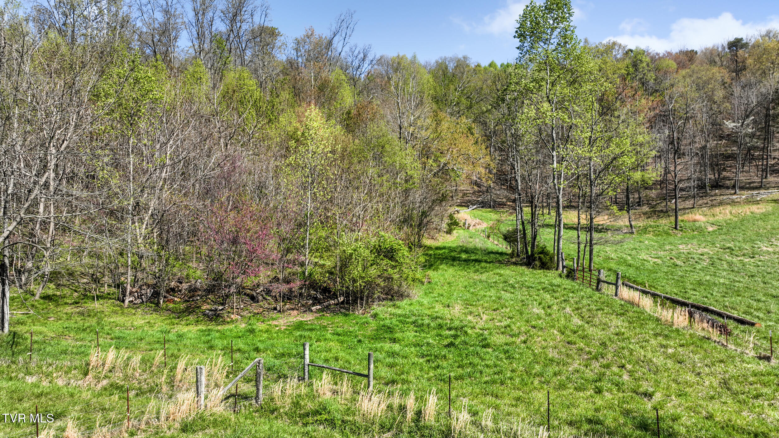 Tba Black Locust Road Jonesville, VA 24263 - Photo 3 of 16 3_dji_0113
