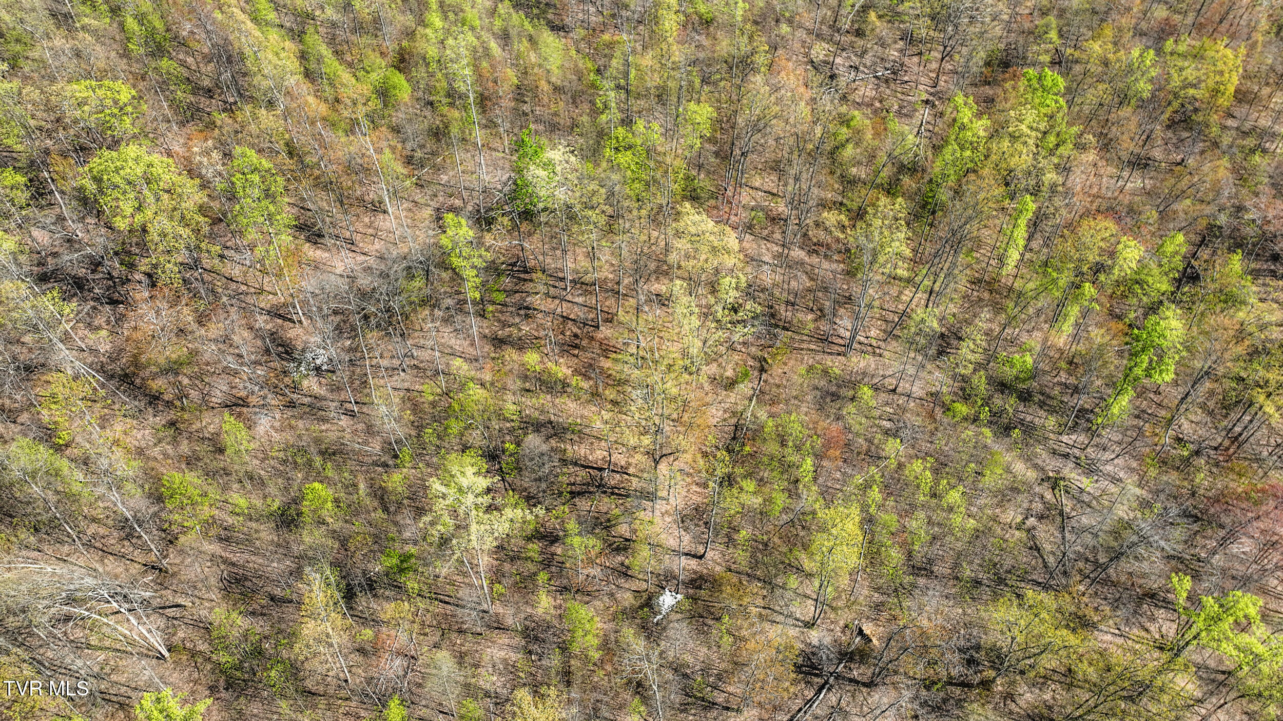 Tba Black Locust Road Jonesville, VA 24263 - Photo 5 of 16 15_dji_0109