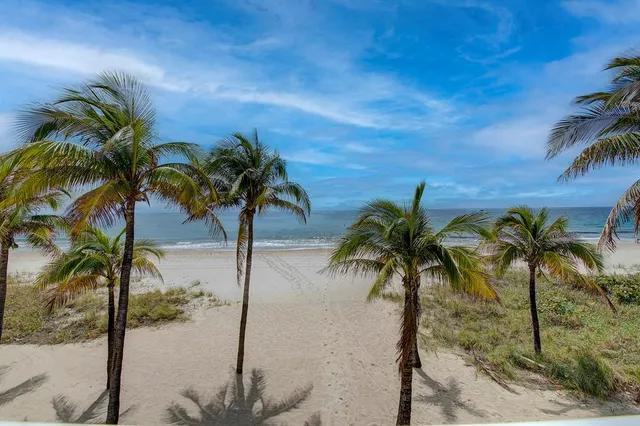 a view of a palm tree with palm trees