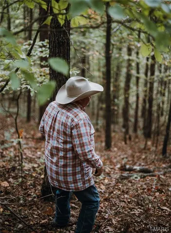 $1,200,000 | 6186 Pine Flat Drive, Summersville, MO 65571