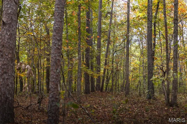 $1,200,000 | 6186 Pine Flat Drive, Summersville, MO 65571