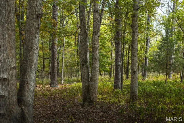 $1,200,000 | 6186 Pine Flat Drive, Summersville, MO 65571