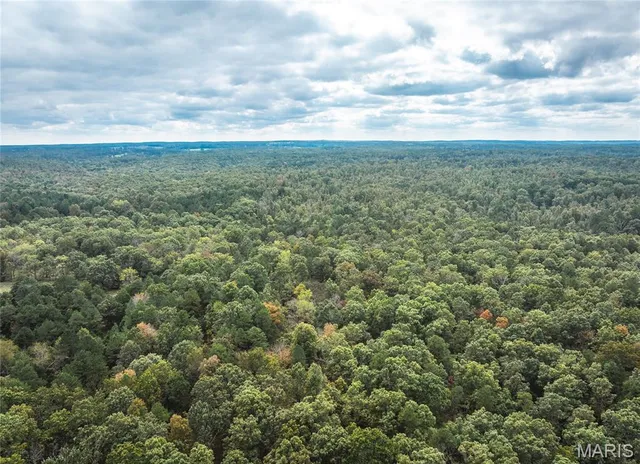 $1,200,000 | 6186 Pine Flat Drive, Summersville, MO 65571