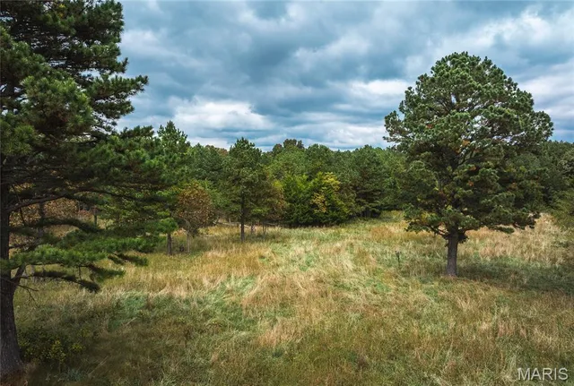 $1,200,000 | 6186 Pine Flat Drive, Summersville, MO 65571