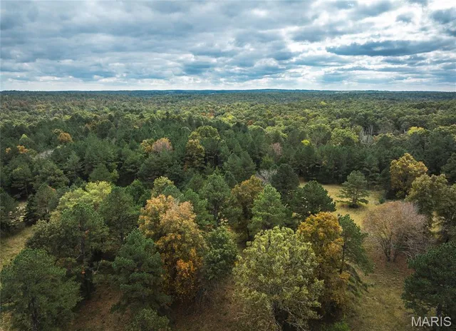 $1,200,000 | 6186 Pine Flat Drive, Summersville, MO 65571