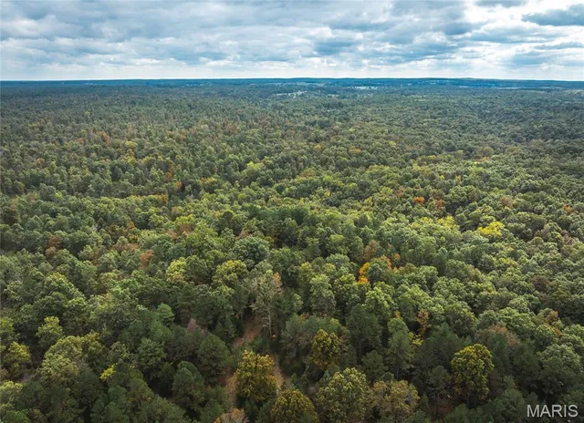 $1,200,000 | 6186 Pine Flat Drive, Summersville, MO 65571