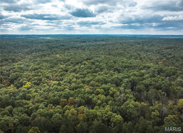 $1,200,000 | 6186 Pine Flat Drive, Summersville, MO 65571