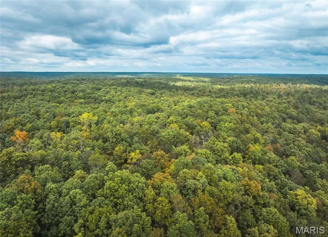 $1,200,000 | 6186 Pine Flat Drive, Summersville, MO 65571