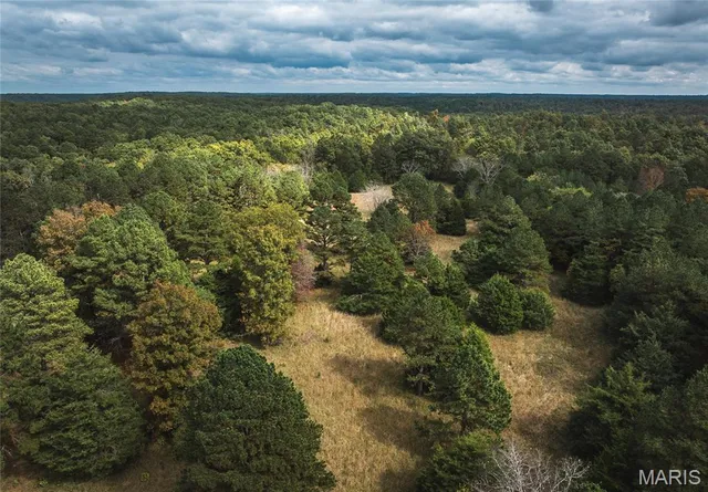 $1,200,000 | 6186 Pine Flat Drive, Summersville, MO 65571