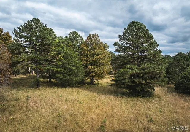 $1,200,000 | 6186 Pine Flat Drive, Summersville, MO 65571