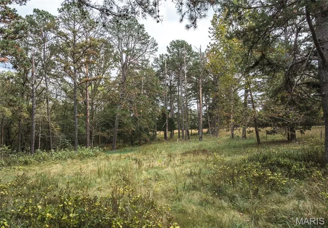 $1,200,000 | 6186 Pine Flat Drive, Summersville, MO 65571