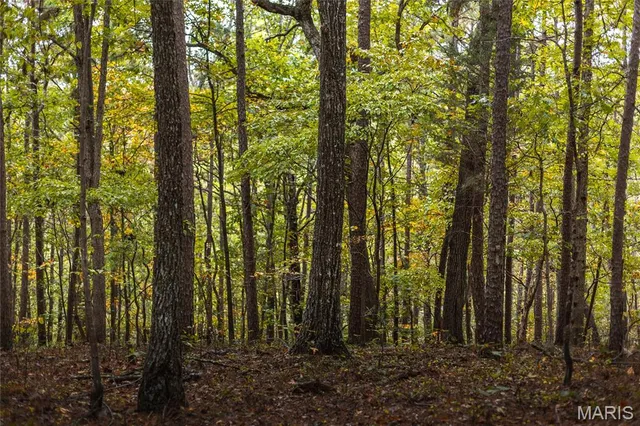 $1,200,000 | 6186 Pine Flat Drive, Summersville, MO 65571