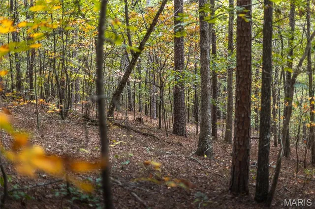 $1,200,000 | 6186 Pine Flat Drive, Summersville, MO 65571