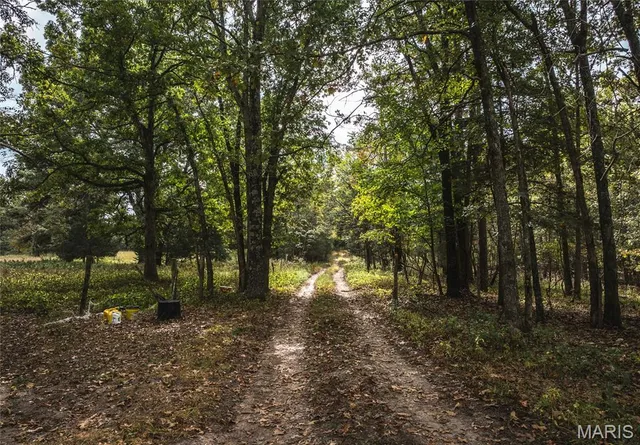 $1,200,000 | 6186 Pine Flat Drive, Summersville, MO 65571