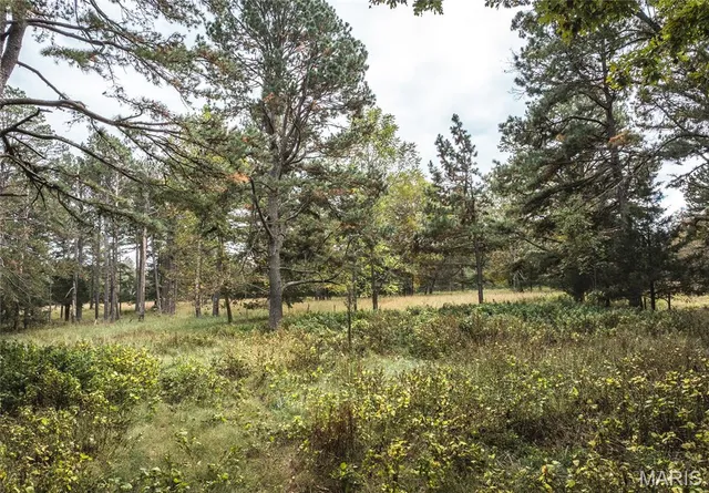 $1,200,000 | 6186 Pine Flat Drive, Summersville, MO 65571