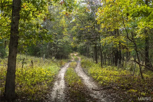 $1,200,000 | 6186 Pine Flat Drive, Summersville, MO 65571