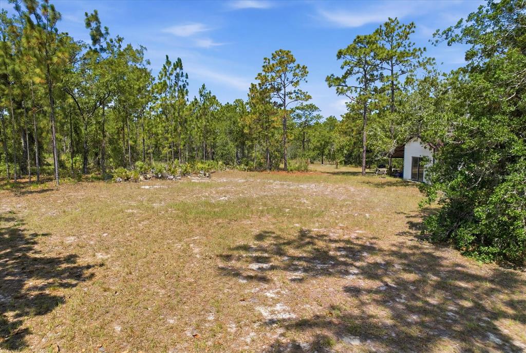 4675 Roses Court Homosassa, FL 34446 - Photo 5 of 22