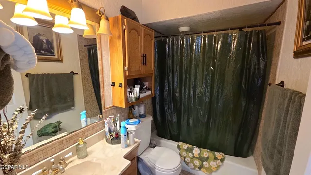 a bathroom with a sink a toilet and shower curtain