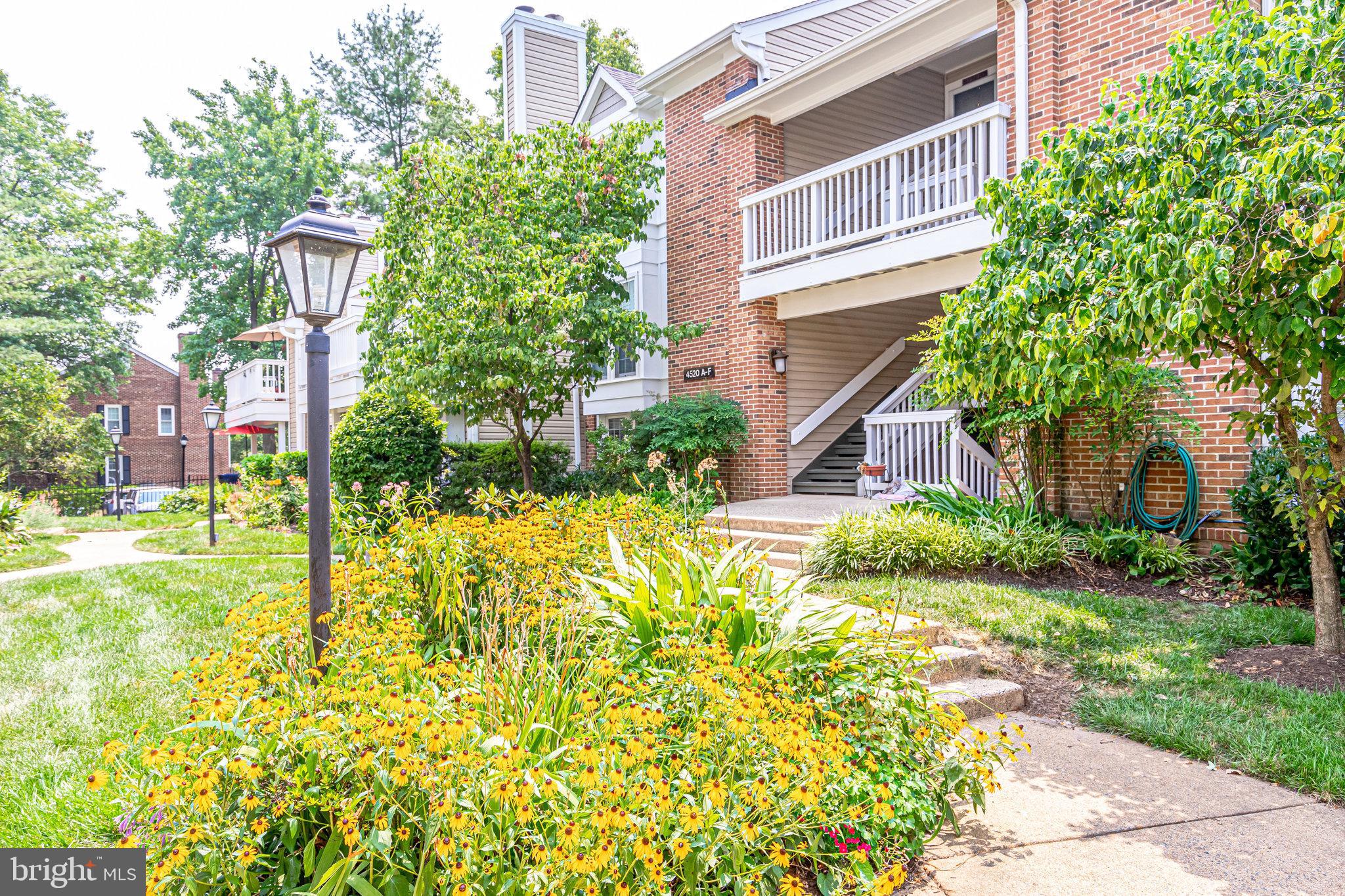 4520 28th Road South, Unit A Arlington, VA 22206 - Photo 24 of 31 Gallery Image 24