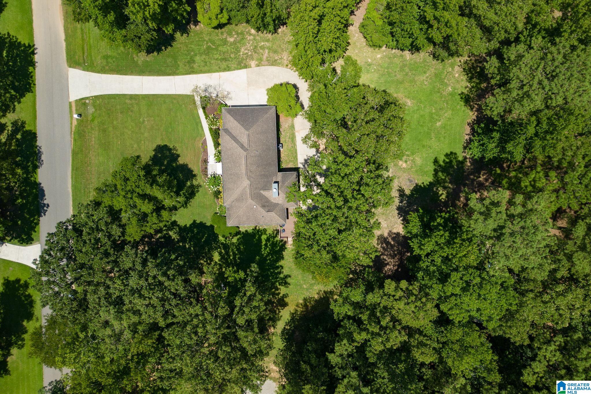 132 Chestnut Lane Helena, AL 35080 - Photo 41 of 59