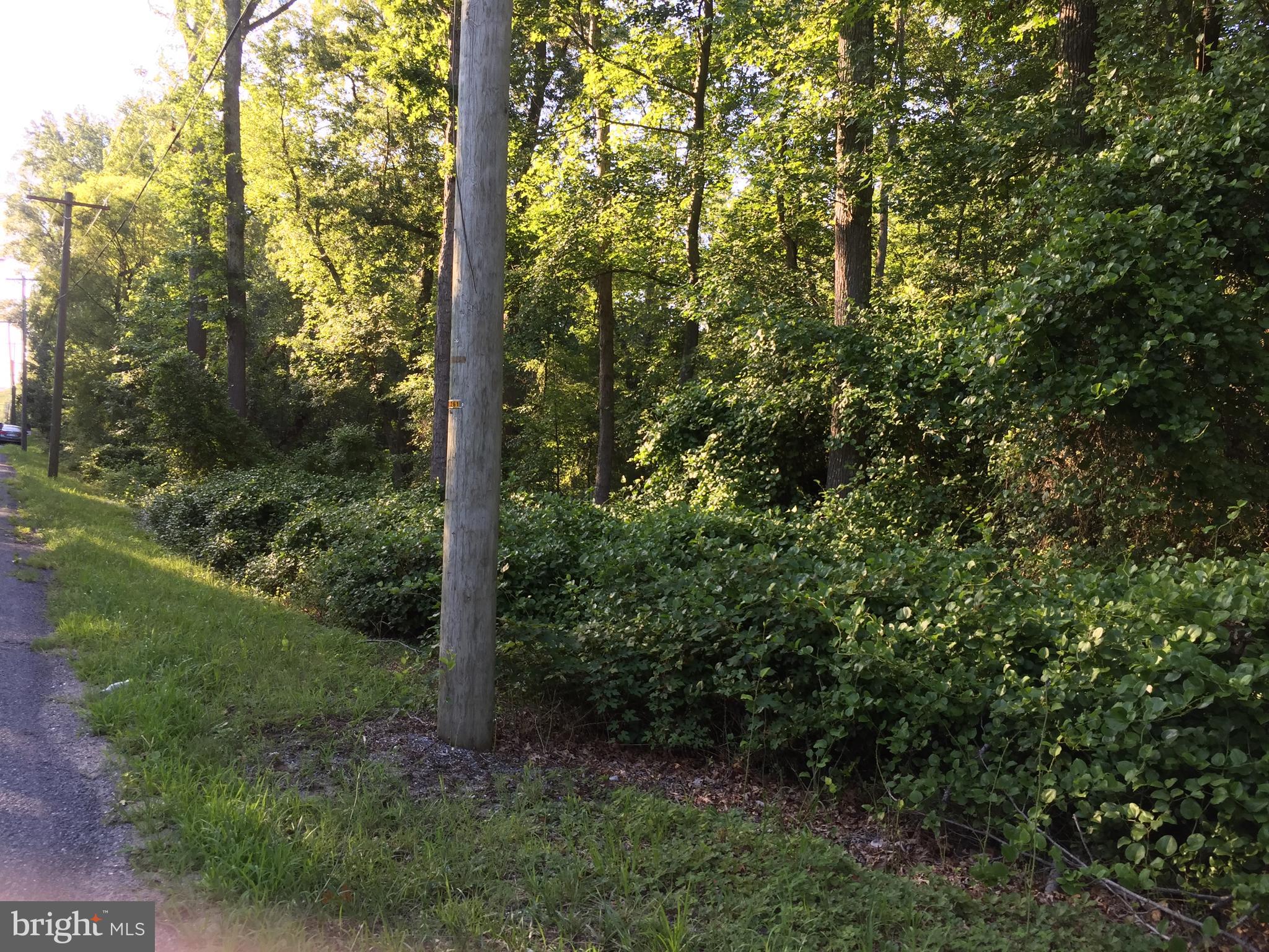 L201 Sheep Pen Road Pittsgrove, NJ 08318 - Photo 2 of 7
