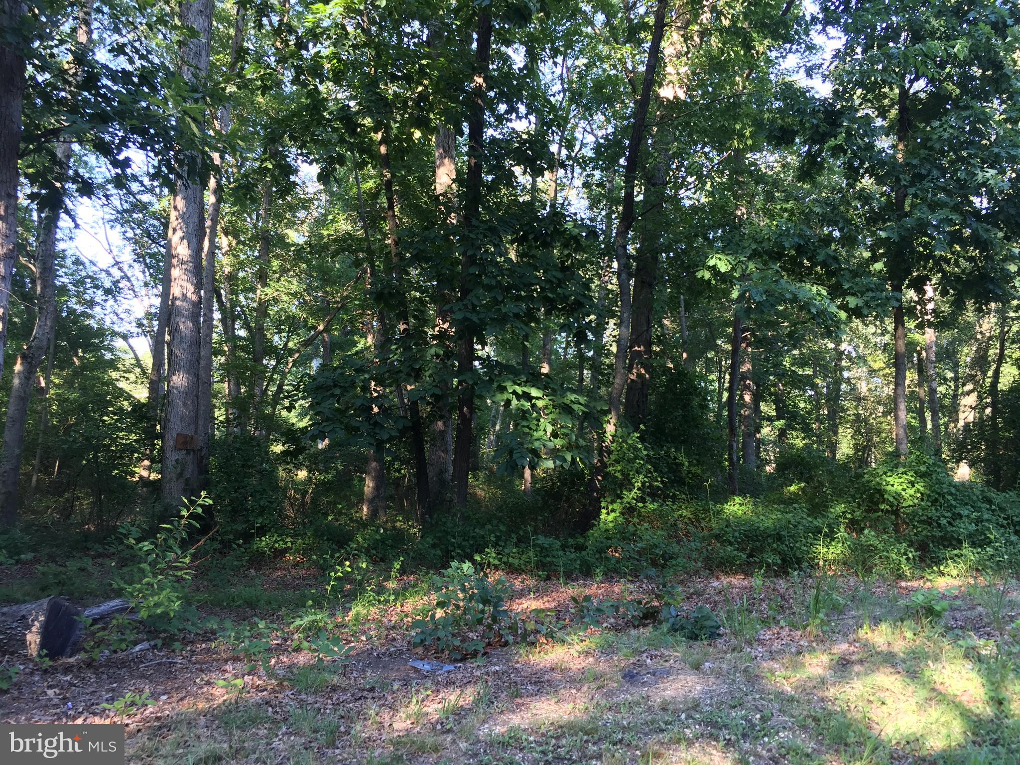 L201 Sheep Pen Road Pittsgrove, NJ 08318 - Photo 4 of 7