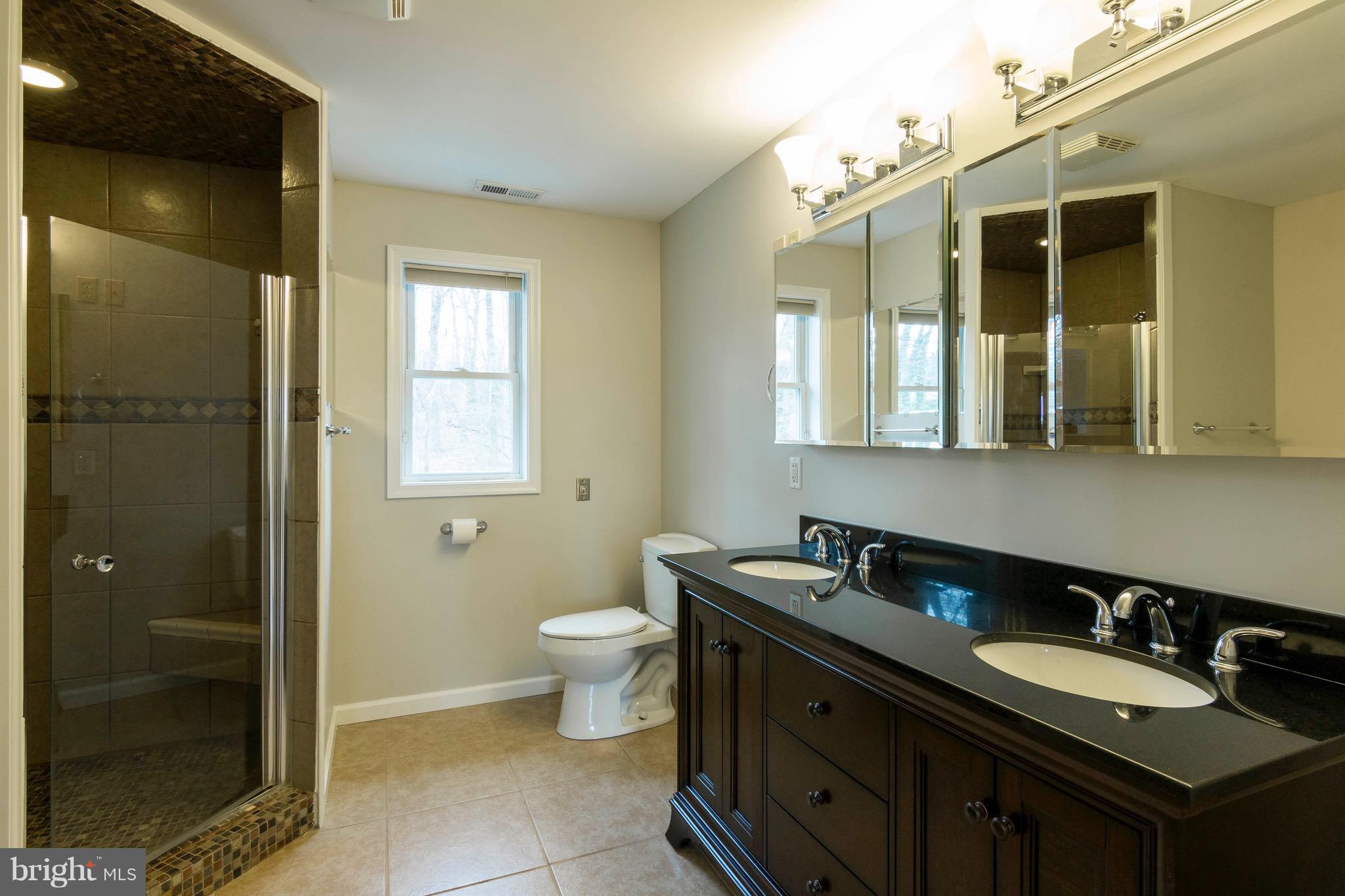 5901 Shady Spring Avenue Baltimore, MD 21237 - Photo 18 of 30 a bathroom with a double vanity sink mirror and toilet