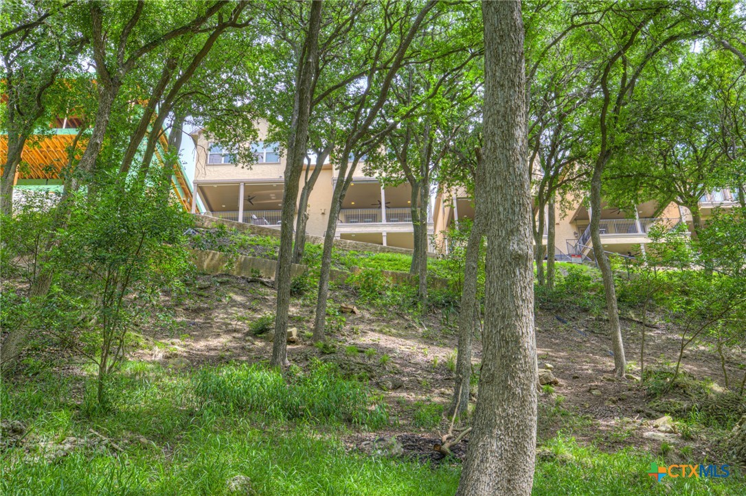 1029 Gruene Road New Braunfels, TX 78130 - Photo 2 of 48 a view of a garden
