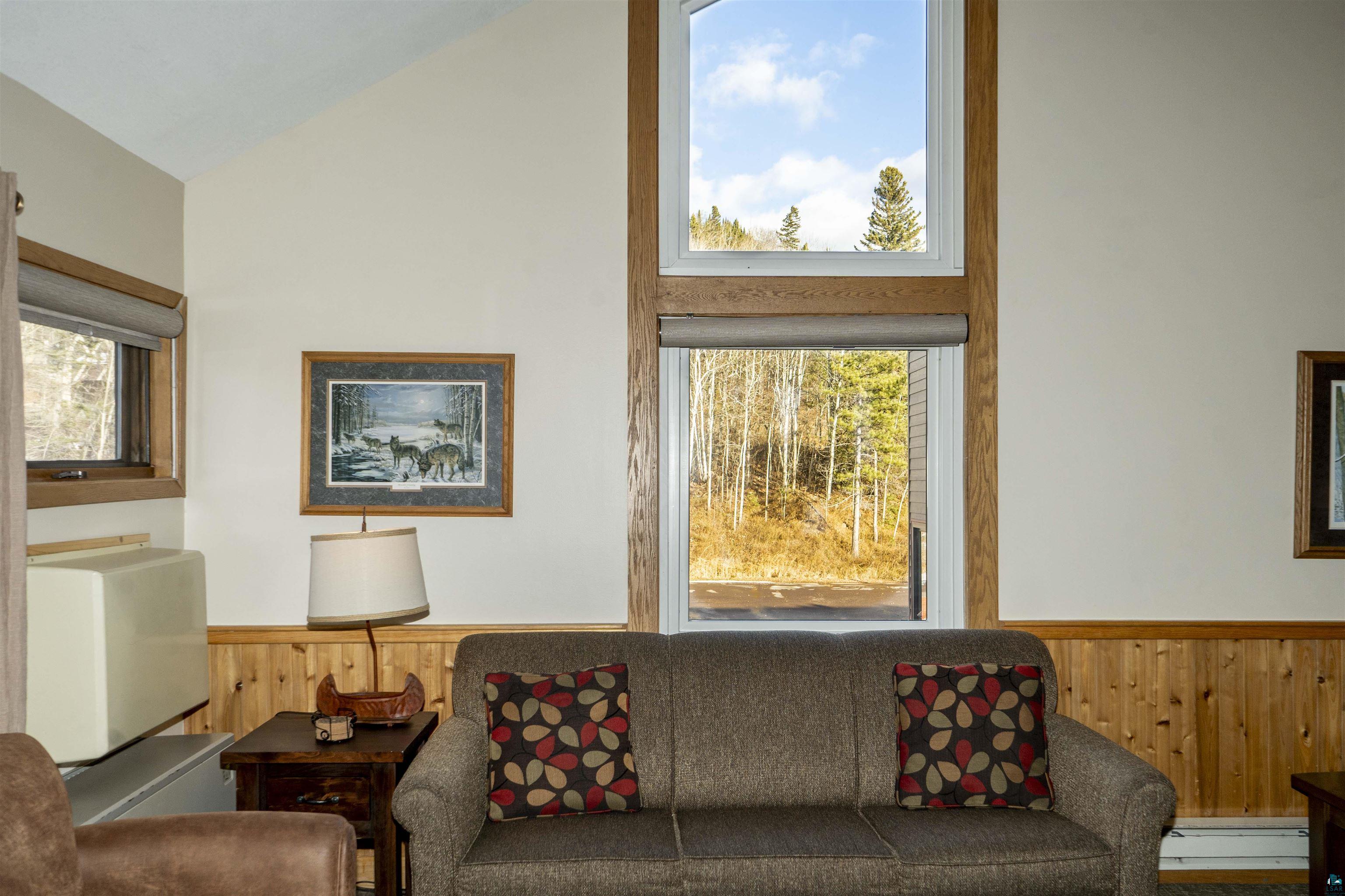 111 Bridge Run Lane, Unit 111 Lutsen, MN 55612 - Photo 22 of 48 Living area with wood walls, a wainscoted wall, healthy amount of natural light, vaulted ceiling, and baseboard heating