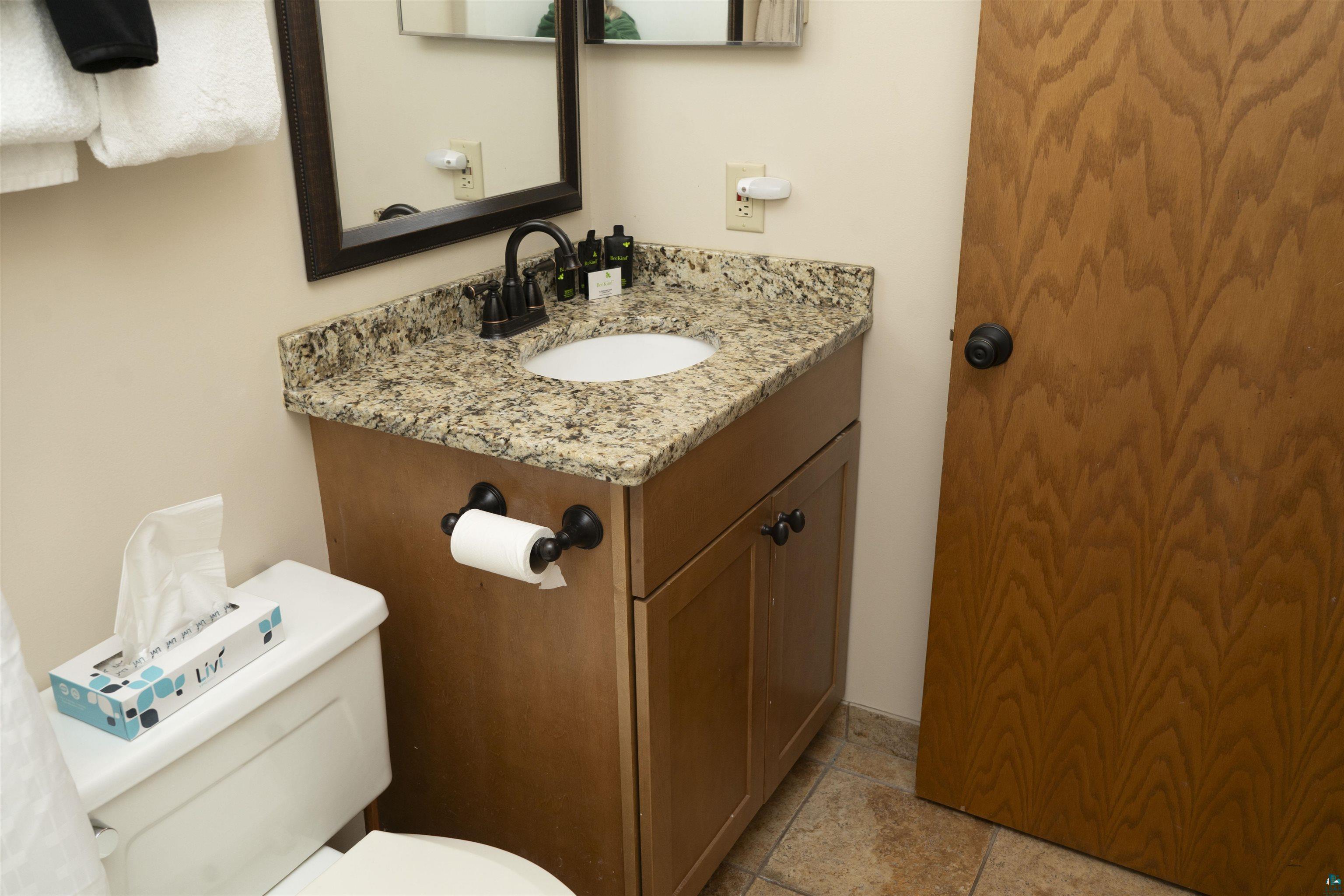 111 Bridge Run Lane, Unit 111 Lutsen, MN 55612 - Photo 31 of 48 Half bathroom with vanity and toilet