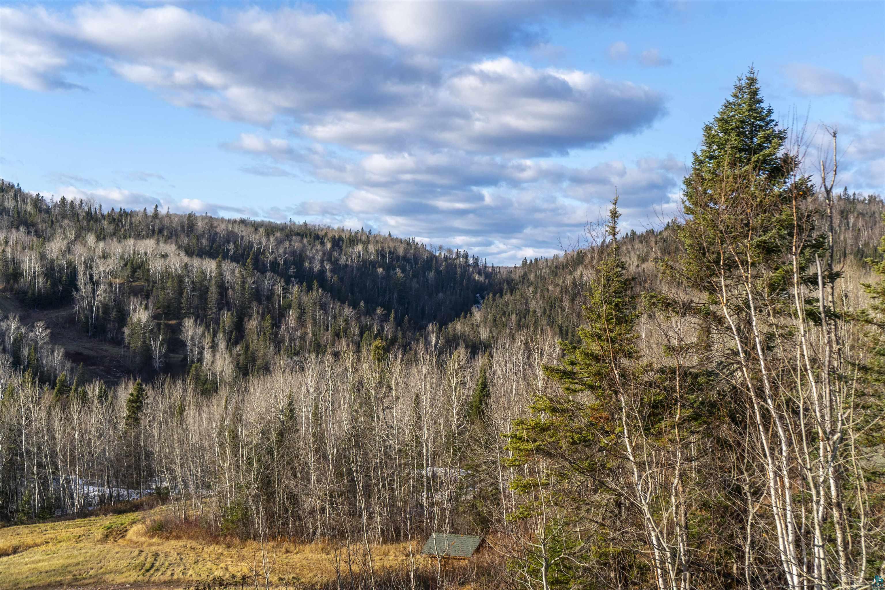 111 Bridge Run Lane, Unit 111 Lutsen, MN 55612 - Photo 36 of 48 View of mountain background featuring a forest