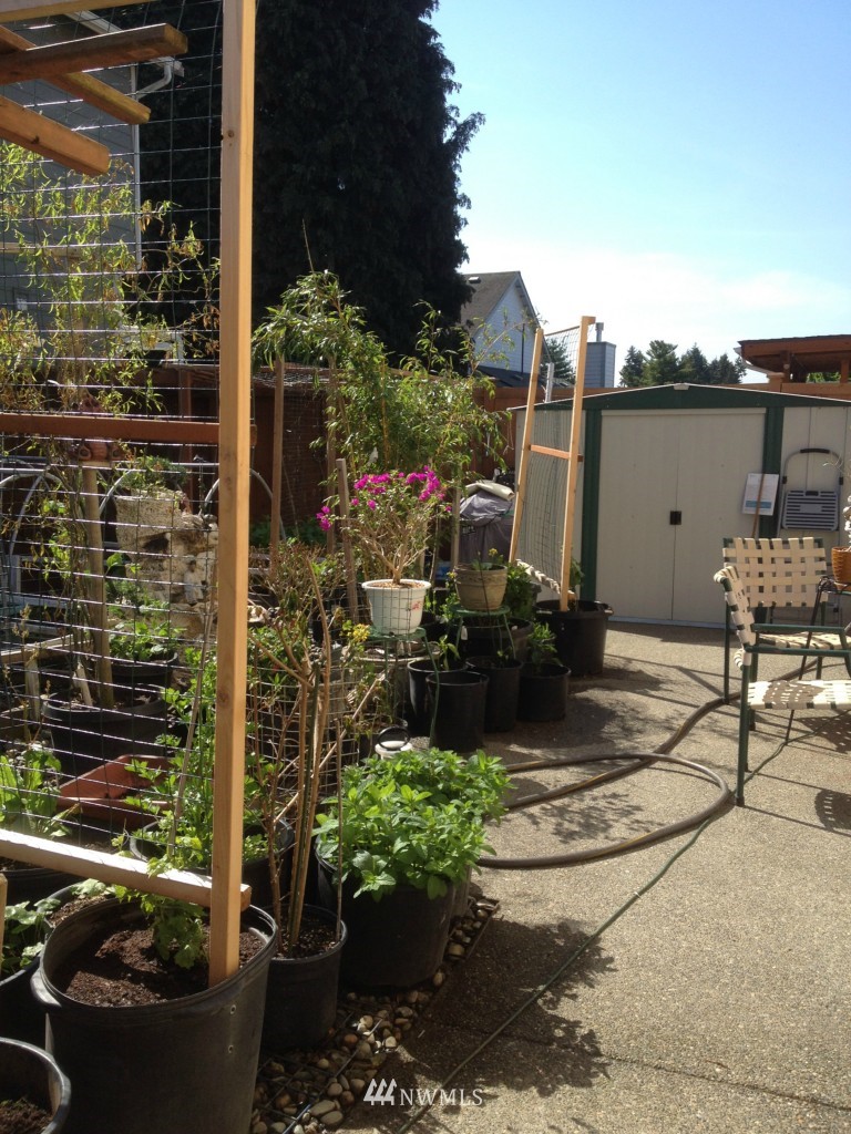 540 Monroe Avenue Northeast Renton, WA 98056 - Photo 16 of 22 Gallery Image 16
