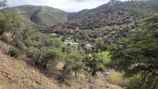 a view of a dry yard with mountains in the background