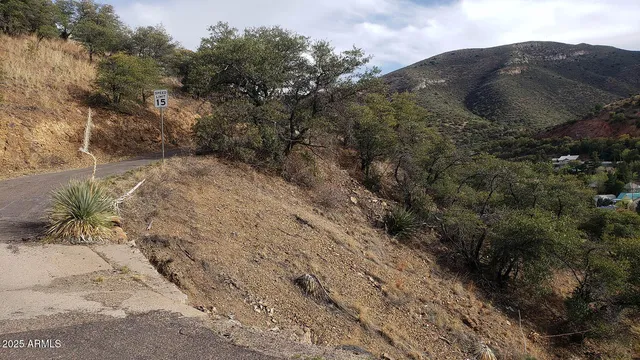 a view of a dry yard